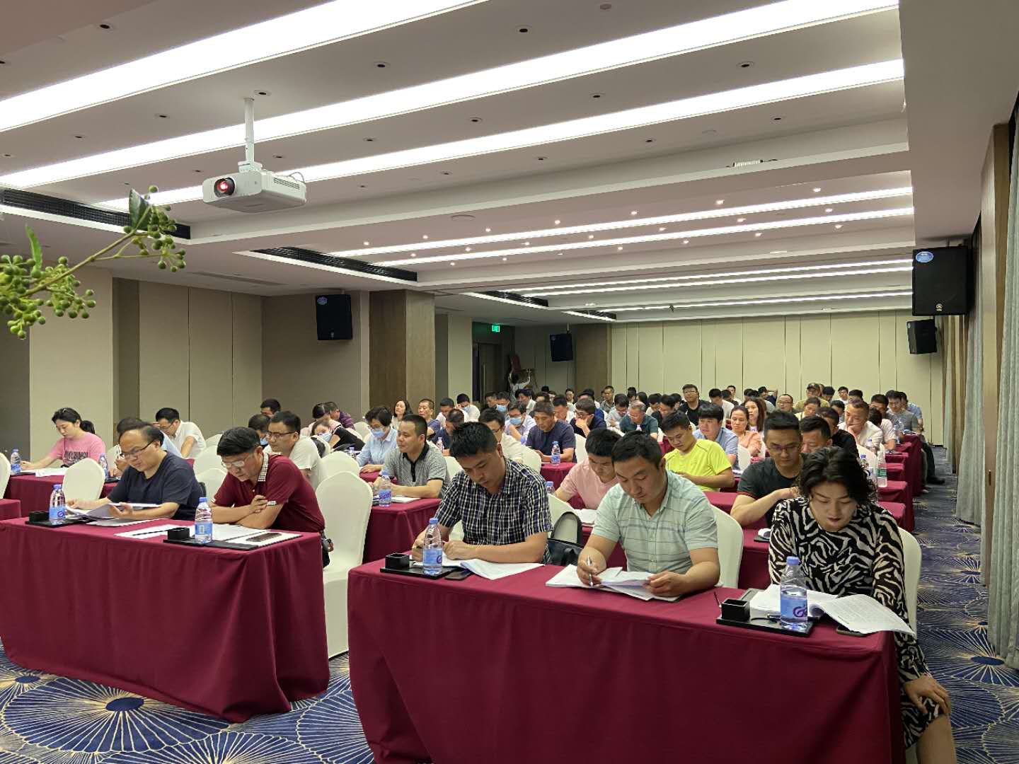 圖片2.png 圖片2.png